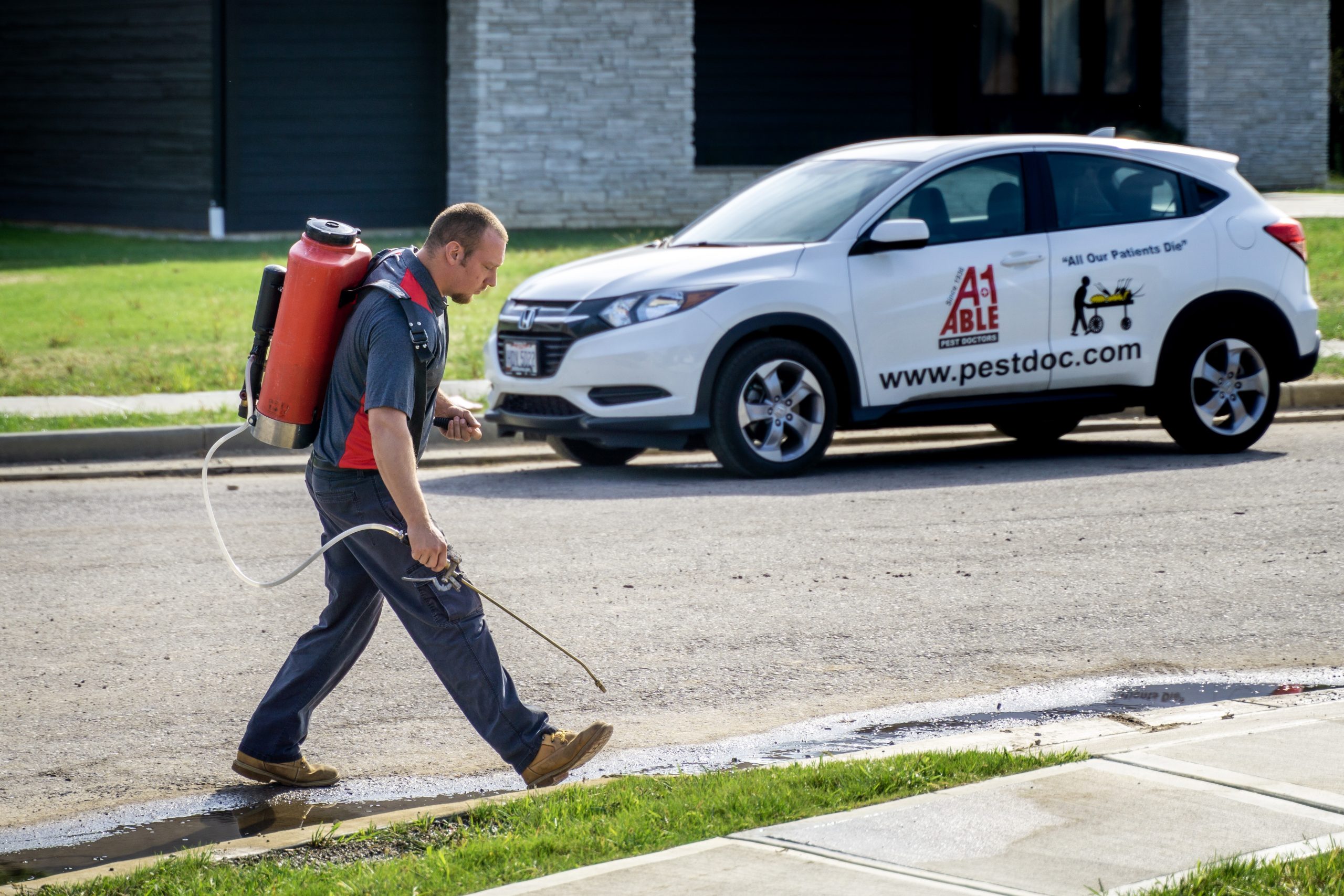 Stink Bug Prevention Services